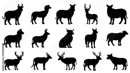 Collection of diverse animal silhouettes on a white background.