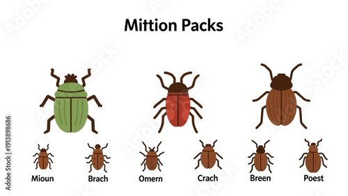 Collection of stylized insects, labeled with fictional names.