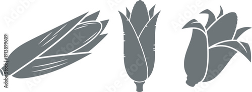 Premium Organic Yellow Corn Vector & corn vector design