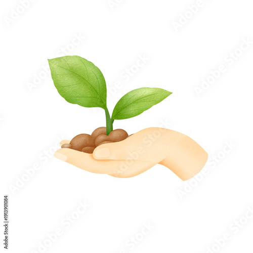 hand holding seedling with soil