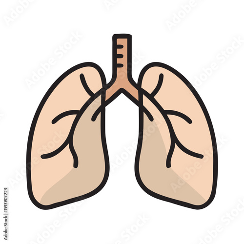 Lungs Respiratory System Medical Flat Icon