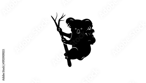 Photography koala bear with baby, black isolated silhouette