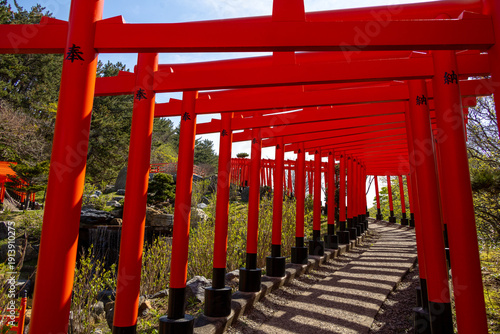 Billede på lærred Rows of Red Torii Gates at Takayama Inari Shrine in Tsugaru, Aomori, Japan
