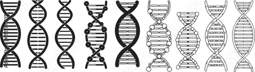 Diverse Representations of the DNA Double Helix, Showcasing Various Styles and Structural Details
