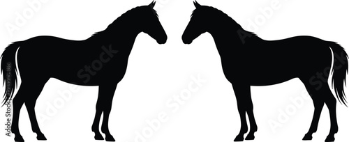 Horse silhouette pair, black stallion standing and facing each other, farm animal vector illustration isolated on white background