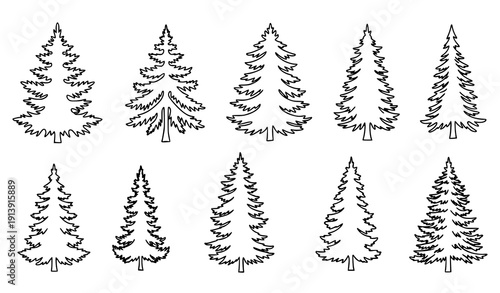 Vintage Forest Outline Vector Set with Conifer Tree Silhouettes for Nature Illustrations