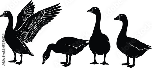 Goose silhouette collection, black geese vector set, flying standing grazing waterfowl illustrations isolated on white background for designGoose