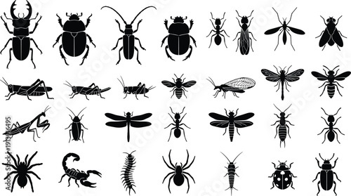 Insect silhouette collection, black bug icons set, beetle, ant, butterfly, spider, scorpion, vector illustration isolated on white background
