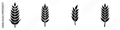 Elegant Silhouette of a Wheat Stalk, Timeless Symbol of Grain Production
