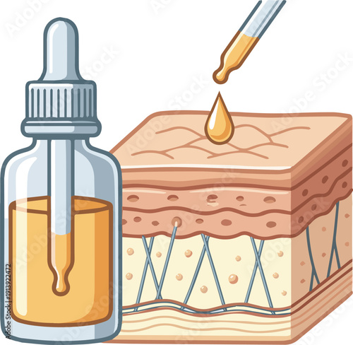 Isolated a realistic Serum or cosmetic product absorb by skin and enhancing collagen and elastin to skin. woman skin and beauty product concept. 3D rendering. vector art with white background.