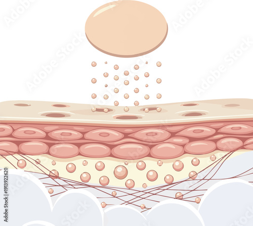 Isolated a realistic Serum or cosmetic product absorb by skin and enhancing collagen and elastin to skin. woman skin and beauty product concept. 3D rendering. vector art with white background.