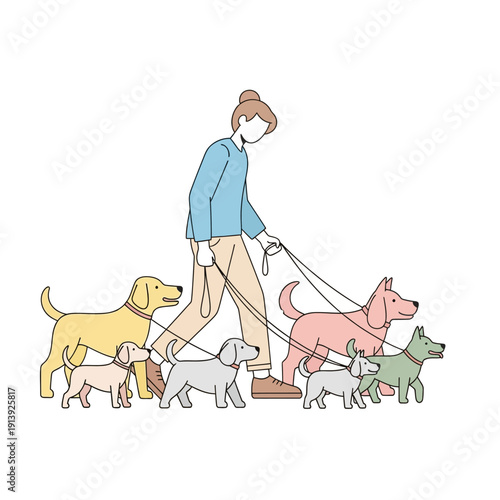 Dog Walker with Pack of Diverse Dogs on Leashes, Outdoor Activity