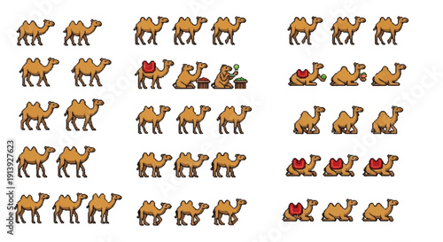 Multiple Camel Illustrations in Various Positions.