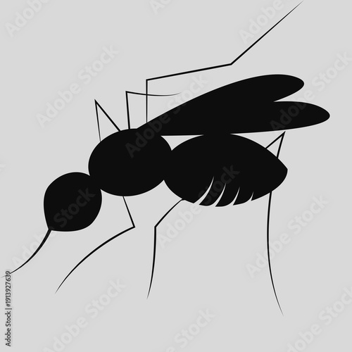 ant vector illustration