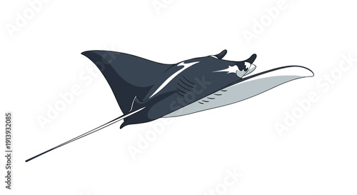 A large dark manta ray with white markings swims horizontally through clear water, showcasing its elegant form and powerful fins.
