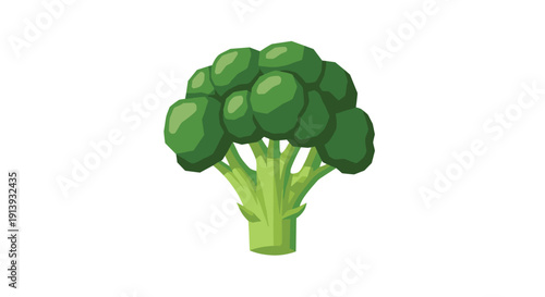 A solitary, vibrant green broccoli floret with distinct texture stands alone on a clean white backdrop.