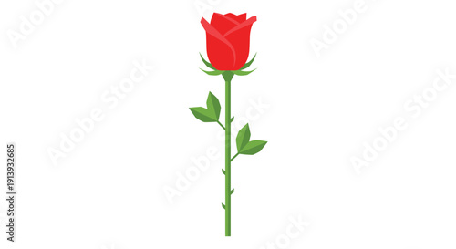 A single red rose stands upright with a green stem and leaves, centered against a plain white background.