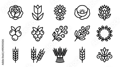 Diverse collection of minimalist black outline plant icons, featuring flowers, fruits, berries, and grains arranged neatly in a grid pattern