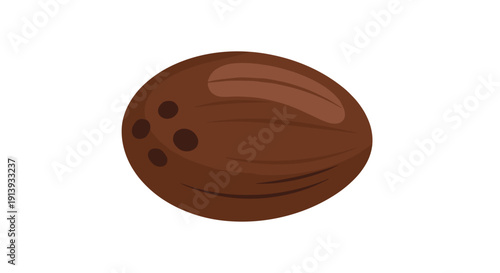 A single brown whole coconut is depicted with three dark eyes, lying on its side against a clean white background.