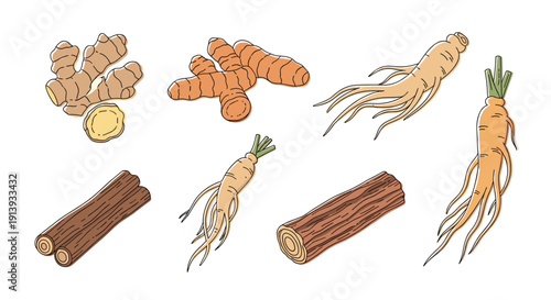 Assortment of ginger, turmeric, ginseng roots, and cinnamon sticks against a white background.