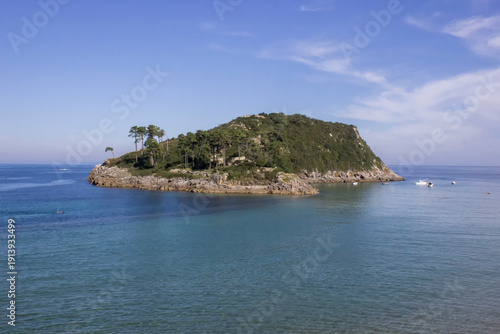 a green, small island in the ocean