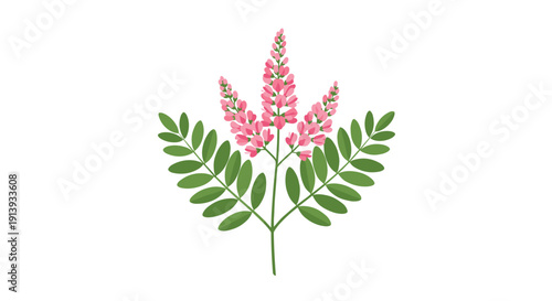 A tall botanical stalk adorned with multiple clusters of small pink flowers and lush green leaves, isolated on white.