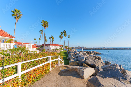 Konstfotografi Oceanside Coastal View With Palm Trees And Rock Jetty Under Clear Blue Sky
