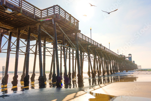 Wallpaper Mural Serene Oceanside Pier at Golden Hour with Flying Seabirds and Reflective Sand Torontodigital.ca