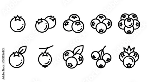 Set of blueberry line icons showing single berries, pairs, and bunches with leaves and stems in a minimalist black outline style for graphic design and web elements