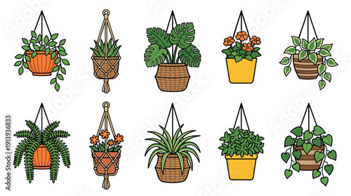 Collection of ten hanging houseplants in various pots and macrame hangers, featuring a diverse assortment of greenery and flowers in a simple, clean cartoon illustration style