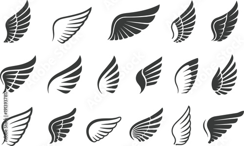 Set of diverse bird and angel wings silhouette icons, elegant feather wings for heraldry and logos