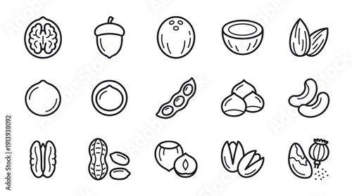 Set of nut and seed line icons featuring various types like walnut, almond, peanut, and pistachio in a simple, minimalist black and white vector illustration
