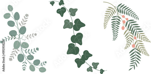 Pastel botanical foliage set, hand drawn greenery branches and leaves isolated on white for wedding invitation decor