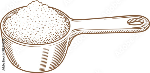 Hand drawn salt in measuring scoop sketch, botanical ink illustration of seasoning for cooking and kitchen design