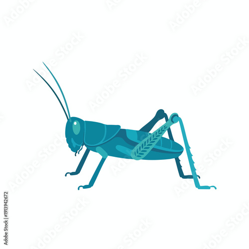 Colorful Insect Illustration for Nature and Science Themes