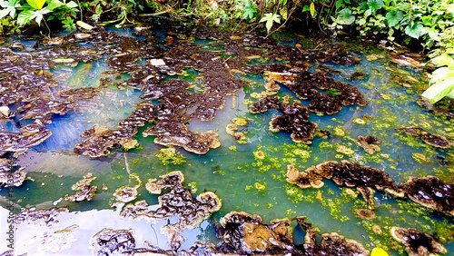 Photography Murky water surface with thick, dark sludge and a greenish film, indicative of s