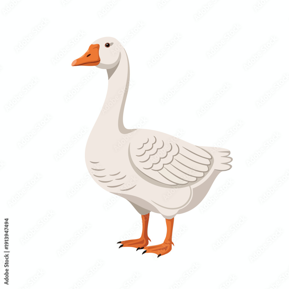 Obraz premium White Goose Standing on Plain Background