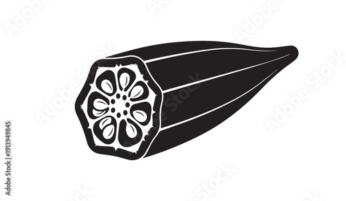 Okra cross section, botanical illustration, white background, stock vector