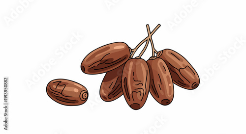 Illustration of a cluster of brown dates with one separate, against a clean white background.