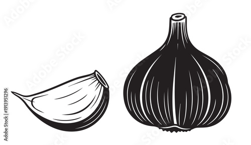 Garlic Bulb and Clove Silhouette, Isolated on White Background, Stock Illustration