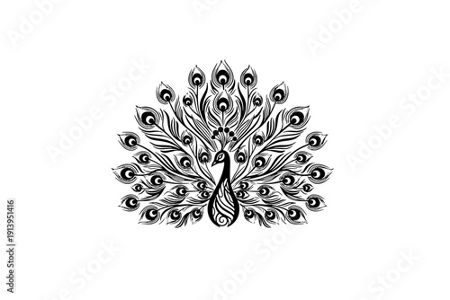 Intricate black and white illustration of a peacock with elaborate feather details isolated on transparent background, isolated on white background, Vector