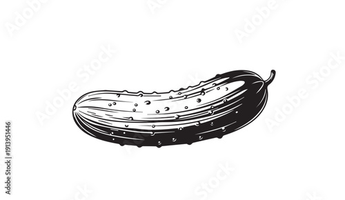 Engraved Pickle Vegetable Illustration Isolated on White Background
