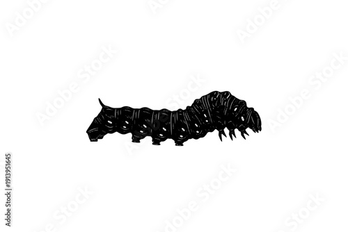 A close-up view of a black caterpillar with distinctive bristles along its body. isolated on transparent background, isolated on white background, Vector