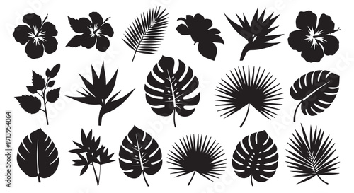 Collection of tropical leaf and flower silhouettes on Transparent Background, including monstera, palm, and hibiscus.
