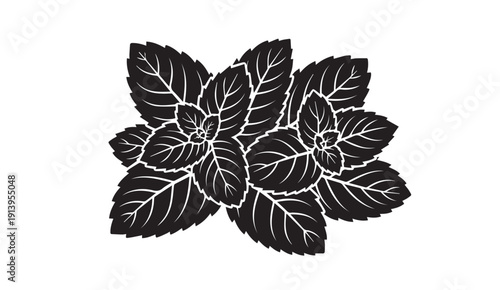 Black and White Mint Leaves Silhouette Graphic Design