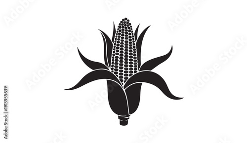 Black and white corn on the cob illustration on white background