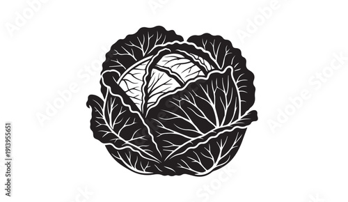 Black and White Cabbage Silhouette, Detailed Leaf Veins, Isolated on White Background, Stock Graphic