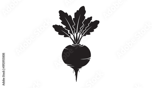 Beetroot Silhouette with Green Leaves Isolated on White Background