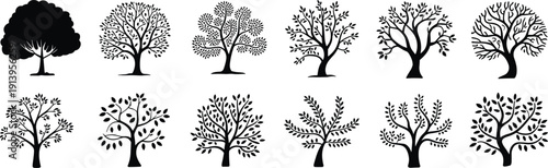 Black tree icon set featuring decorative nature silhouettes isolated on white background for ecology, landscape, logo, and graphic design