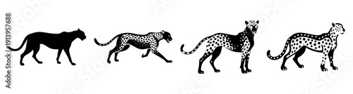Silhouette of running cheetahs and leopards in motion black and white wildlife illustration vector art